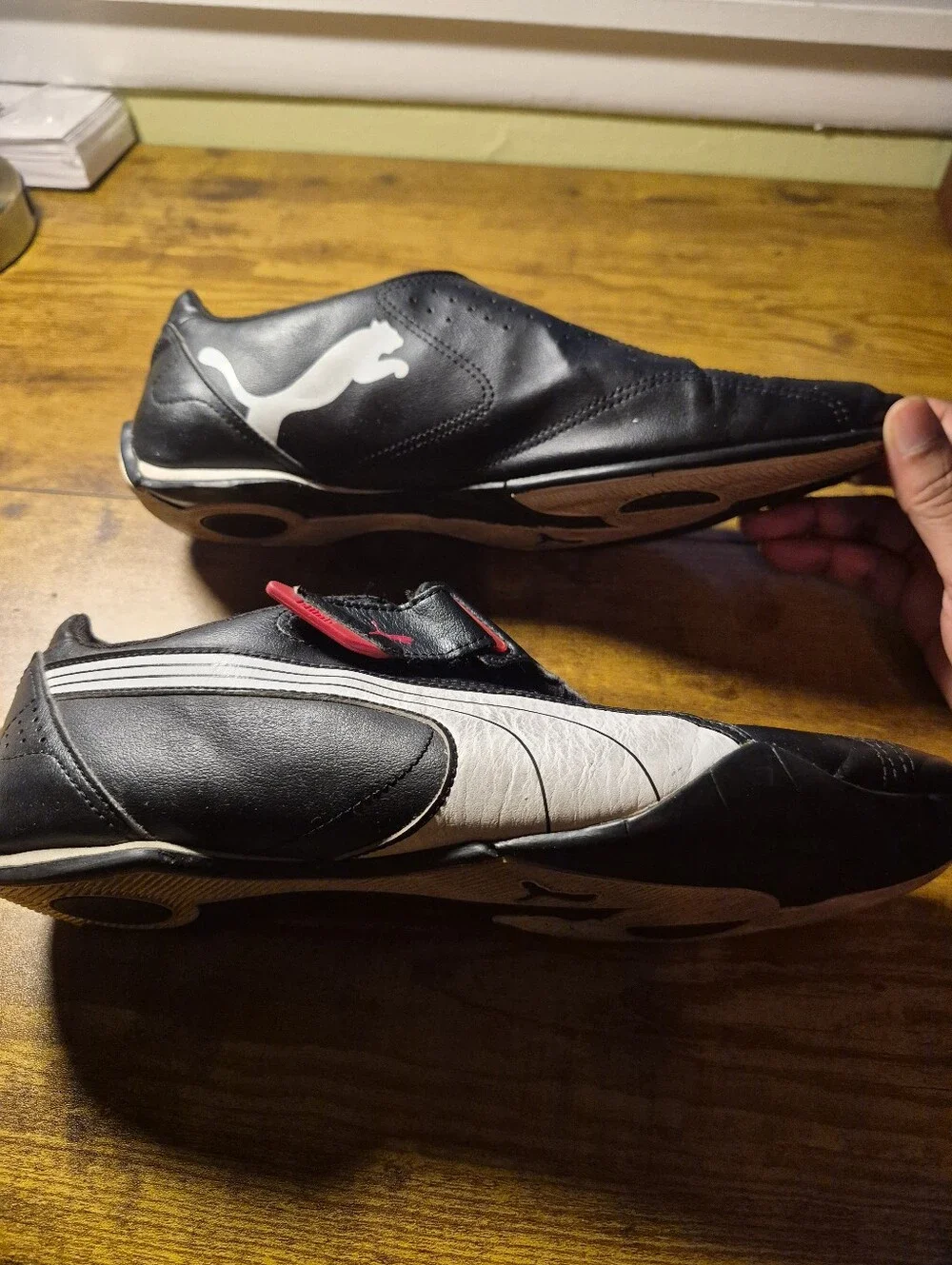 Puma redon move